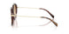 401613 - Brown - Brown Gradient