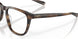 200203 - Brown