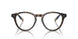5003 - Brown