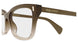008 - Brown - Transparent