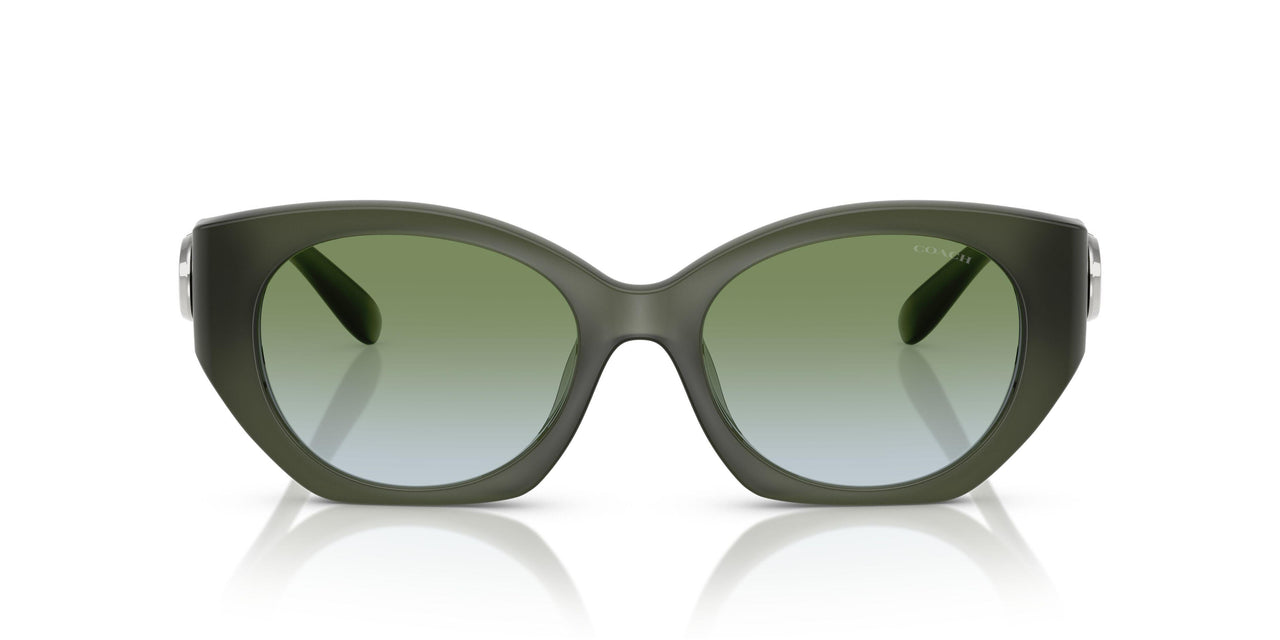 584017 - Green - Moss Aqua Gradient