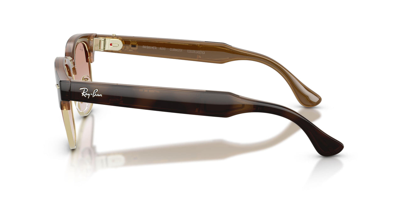 692813 - Tortoise - Gradient Brown