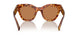 4BW2Z1 - Tortoise - Brown