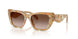 194913 - Tortoise - Brown Gradient