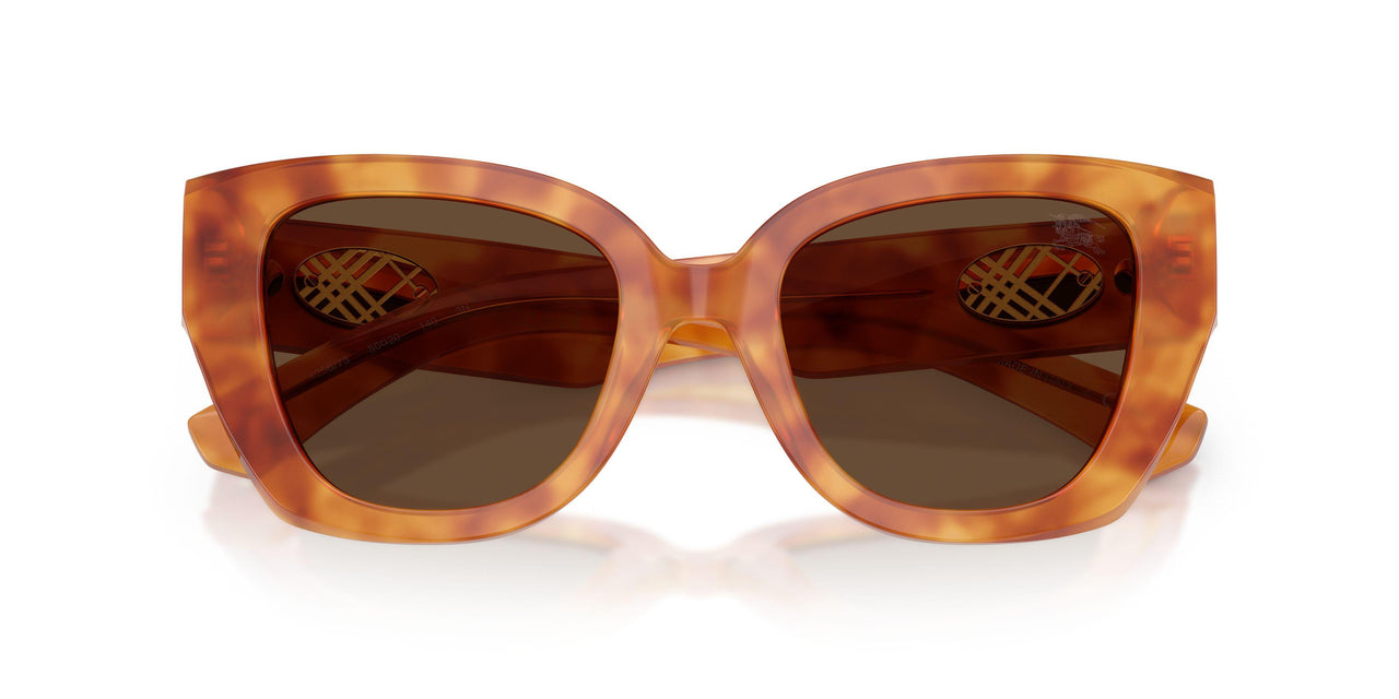 425673 - Tortoise - Dark Brown