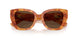 425673 - Tortoise - Dark Brown