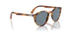 904356 - Brown - Blue