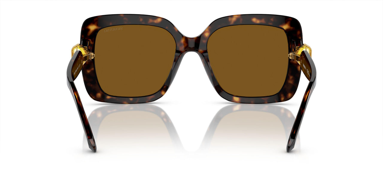100283 - Tortoise - Polarized Brown