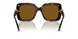 100283 - Tortoise - Polarized Brown