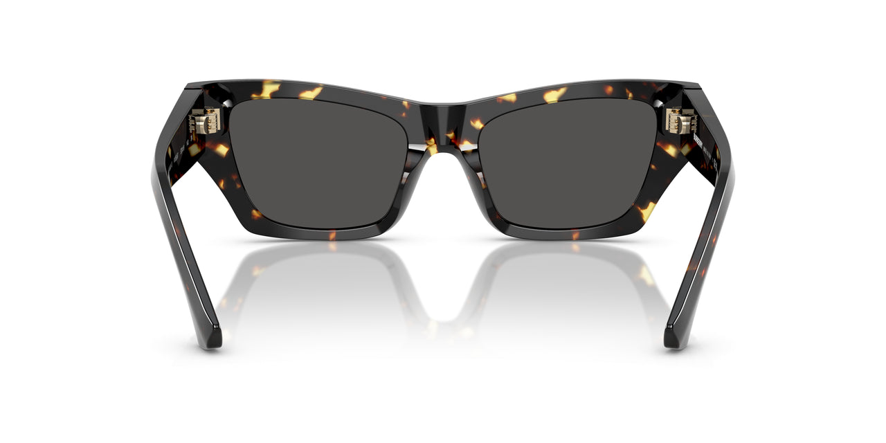410687 - Tortoise - Dark Grey