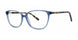 BLTRTS - Blue/Tortoise