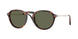 24/58 - Tortoise - Polar Green