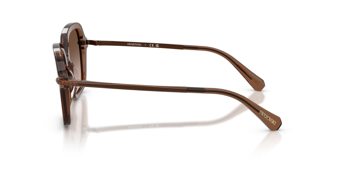 106713 - Brown - Brown Gradient