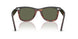 144058 - Black - Polarized Green
