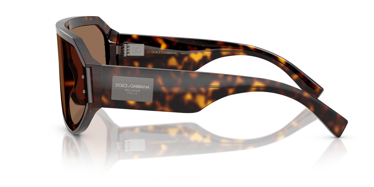 502/73 - Tortoise - Dark Brown