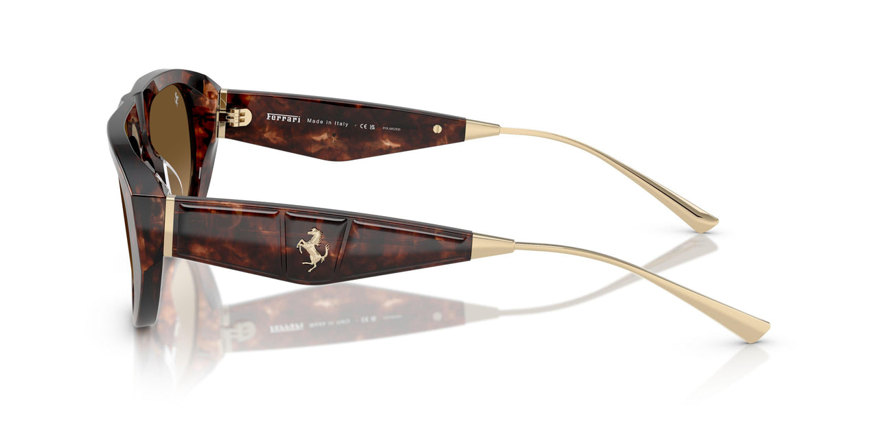 725/M2 - Brown - Gradient Brown Polar