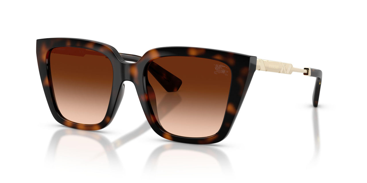 300274 - Brown - Brown Gradient