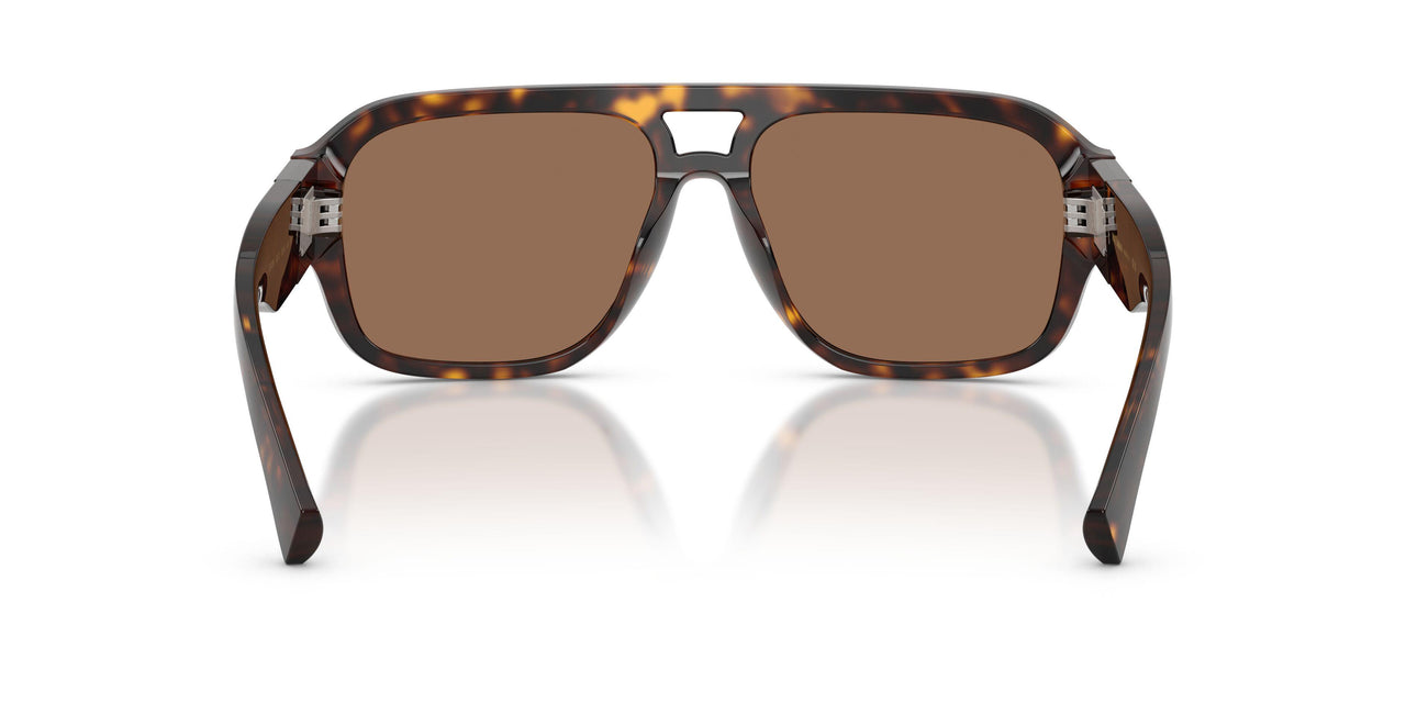 502/73 - Tortoise - Dark Brown