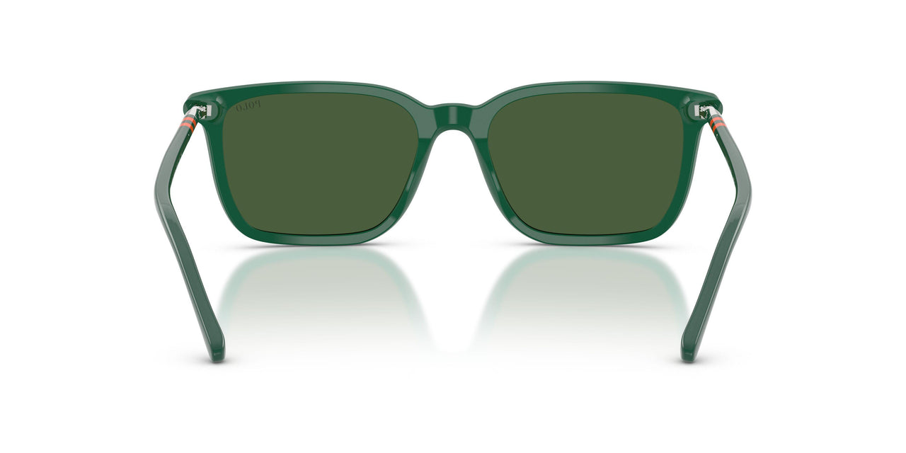 542171 - Green - Bottle Green
