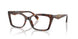 4031 - Tortoise