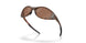 943839 - Brown - Prizm Tungsten