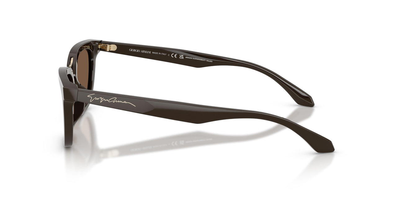 639873 - Brown - Brown