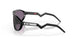 946701 - Black - Prizm Grey