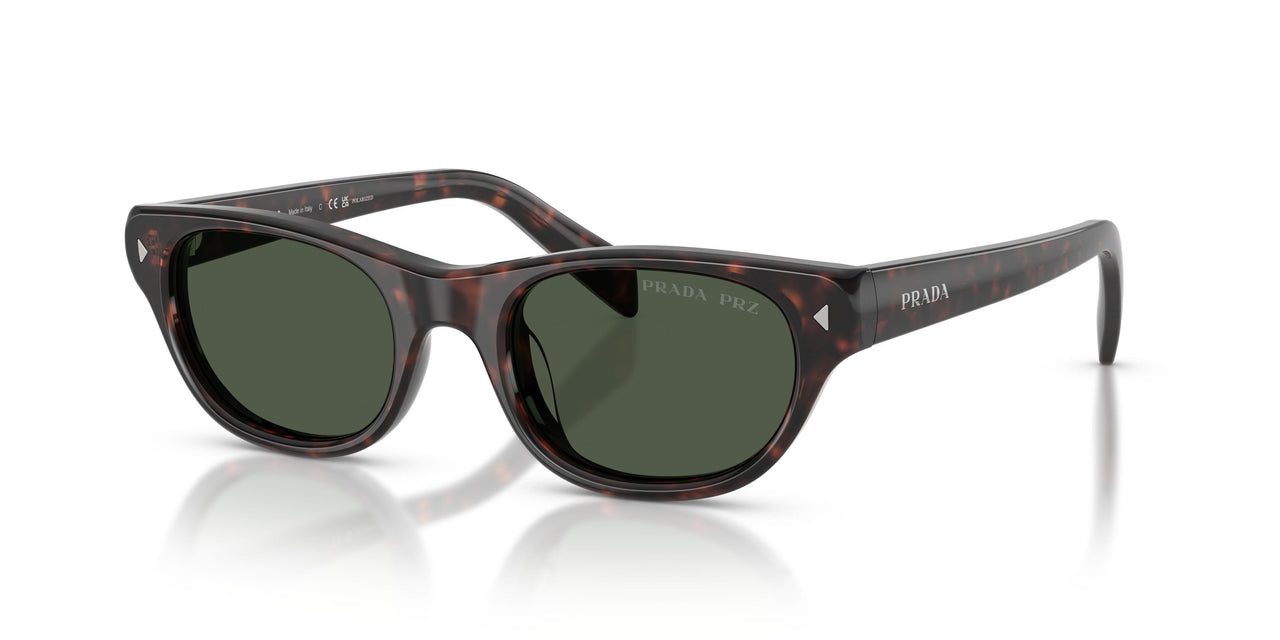 17N90V - Tortoise - Dark Grey Polarized