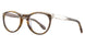 10 - Marbled Brown & Clear/Shiny Gold