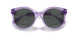 823687 - Violet - Dark Grey