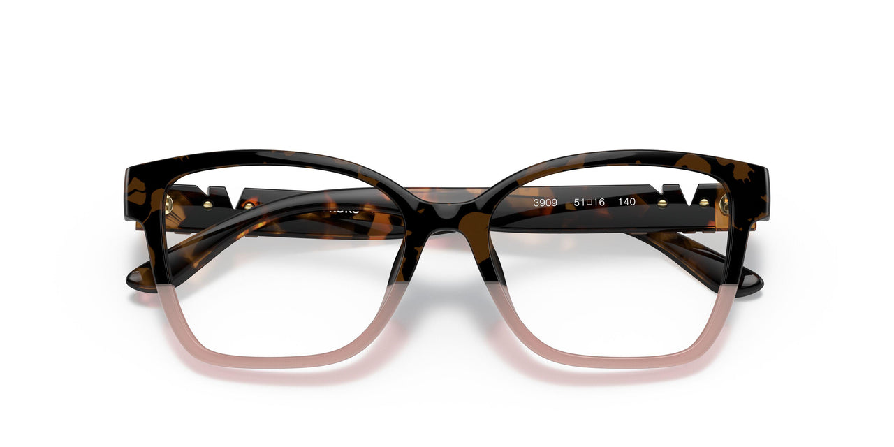 3909 - Tortoise