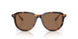 613773 - Tortoise - Dark Brown