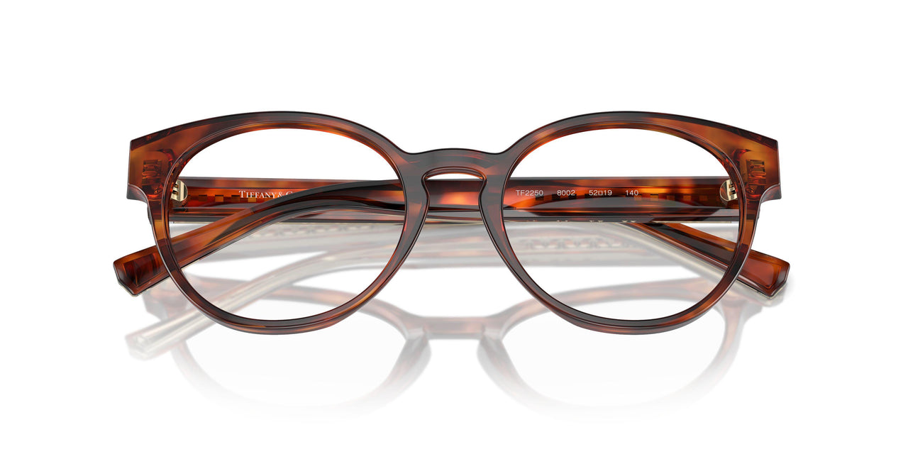 8002 - Tortoise