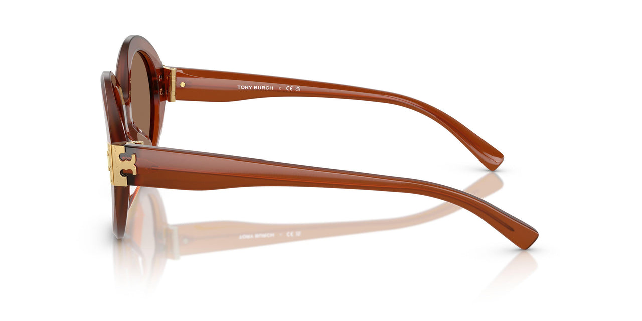 317673 - Brown - Brown