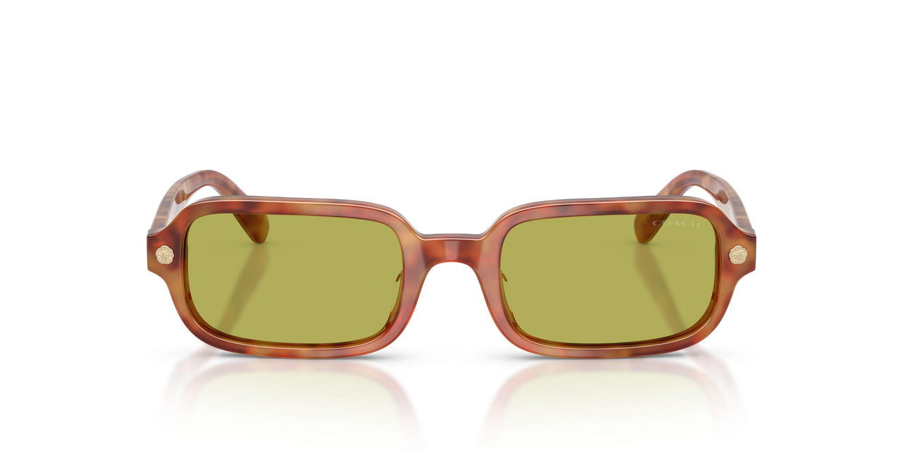 5774/2 - Tortoise - Pistachio