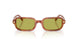 5774/2 - Tortoise - Pistachio
