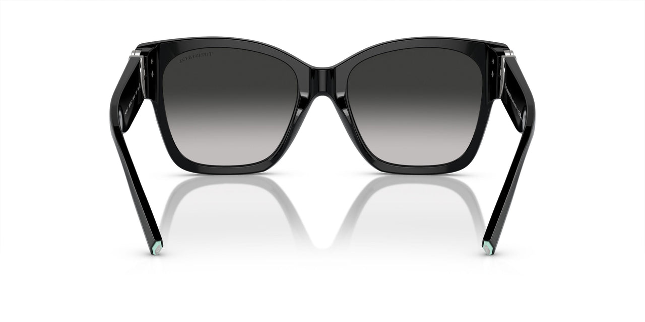 80013C - Black - Grey Gradient