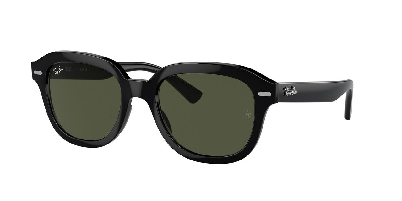 Ray-Ban Erik 4398F Sunglasses