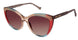 Betsey-Johnson-Sunwear BET-HOLLYWOOD Eyeglasses