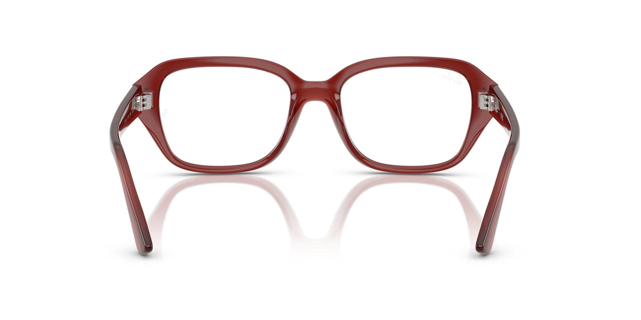 8436 - Brown - Clear