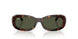 902/31 - Tortoise - Green