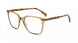 BRHV - Brown Havana
