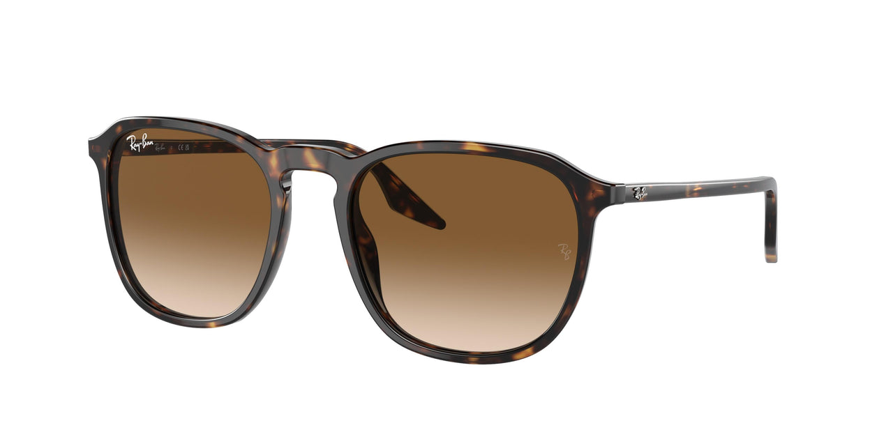 Ray-Ban 2203F Sunglasses