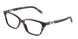 8015 - Tortoise