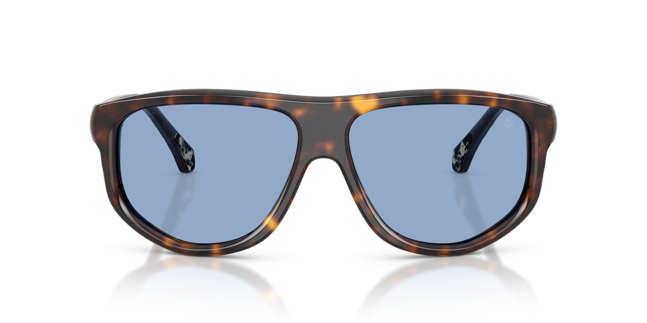 300280 - Tortoise - Solid Blue