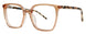 RYE 1923 COLLECTION R1Z202P Eyeglasses