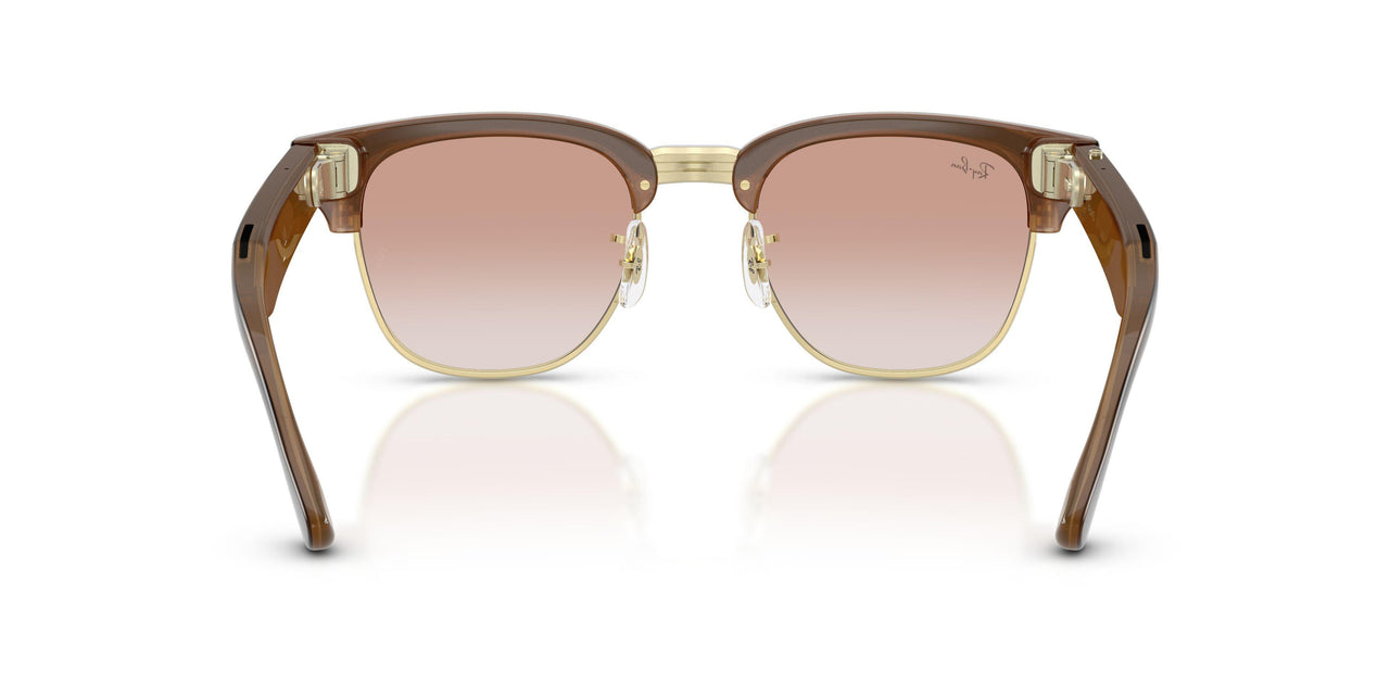692813 - Tortoise - Gradient Brown