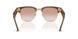 692813 - Tortoise - Gradient Brown