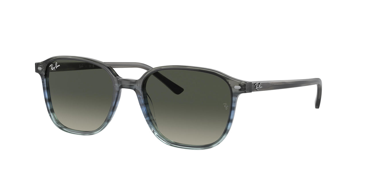 Ray-Ban Leonard 2193 Sunglasses