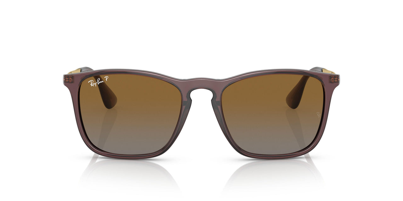 6593T5 - Brown - Grey Gradient Brown Polar